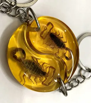 12 vnt Unikalių Vabzdžių Epoksidinės Keychain skorpionas Kūrybos niekučių key chain Dovanos Vyras moteris priedai