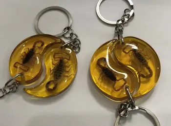 12 vnt Unikalių Vabzdžių Epoksidinės Keychain skorpionas Kūrybos niekučių key chain Dovanos Vyras moteris priedai