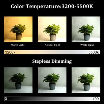 1pcs pritemdomi led fotografijos apšvietimo su stovu 85W 3 spalvų režimų studija softbox šviesos camara vaizdo selfie foto lempa