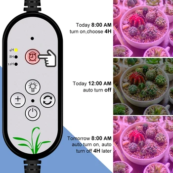 30W LED Fito Lemputė dega Visą Spektrą Tamsos Laikmatis LED Augalų Auga Šviesos Hydroponic Gėlių Daigų USB Powered Fito Šviesos