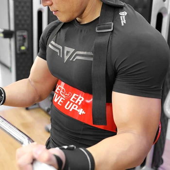 Bicepsas Mokymo Valdybos Rankos Dilbio Treneris Svorio Kėlimo Kultūrizmo Fitneso Įranga, Patalpų Mokymo Valdybos Gimnastikos Įranga