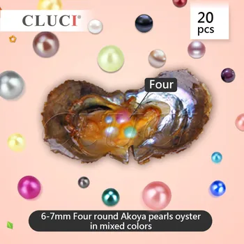 CLUCI Quadruplets Perlas Austrės, 4 perlai kiekvienos austrės, gali gauti 20pcs austrių, 80pcs SUMAIŠYTI raindom spalvos 6-7mm perlai WP176SB