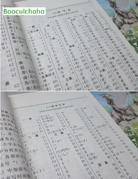 Guangzhou Kiniečių Žodynas (Mandarinų kontrastas) (Pataisytas Leidimas)