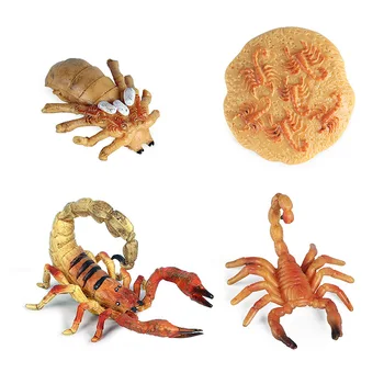 Karšto Modeliavimas Gyvūnų Skorpionas Augimo Ciklo Veiksmų Skaičiai Modelio Mielas Vaikams Dovanas Švietimo Pažinimo Kolekcija Vaikams, Žaislai