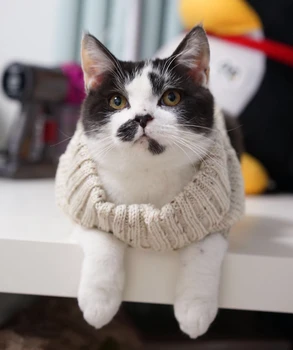 [MPK Katė Megztiniai] Naujas Dizainas Naminių Kačių Megztinis, Šuo Megztinis,