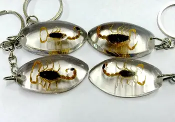 NEMOKAMAS PRISTATYMAS 12 vnt. rankų darbo ovalo formos aukso skorpionas stiliaus žavinga keychain