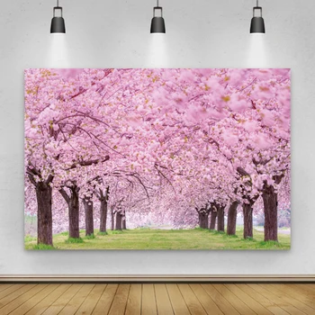 Pavasario Fonas Fotografijai Pink Cherry Blossom Gėlių, Medžių, Žolės Būdas Parkas Gražių Nuotraukų Foną, Photocall Foto Studija