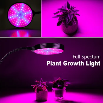 USB LED Grow Light 5V LED Grow Light Visą Spektrą Augalams Lempos Akvariumas LED vidinis Daržovių, Gėlių daigai Auga Palapinė