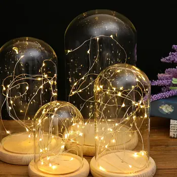 Šiuolaikinės Stiklo Ekranas Dome Cloche su Sustabdytas LED Pasakų Žibintai Kalėdų Dovana, Augalų, Gėlių Vaza Konteinerių 