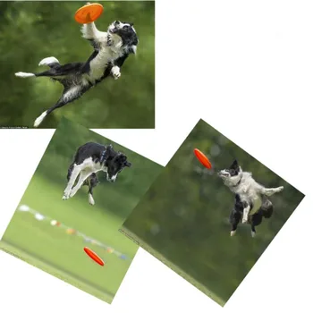 Šunų Mokymo jumper Fantastinis dantų šunelis Flying Disc gumos didelio Dantų Atsparus Mokymo Žaislas Žaisti Banga šuo kramto žaislą žaidimas