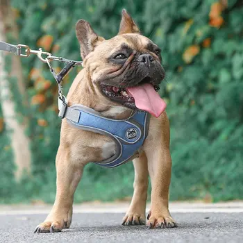 Šuo Krūties Dirželis Naminių Reikmenys Nailono Diržas Visas Oras Reguliuojamas Transporto priemonės Saugos Sistemų naminiams Šunims
